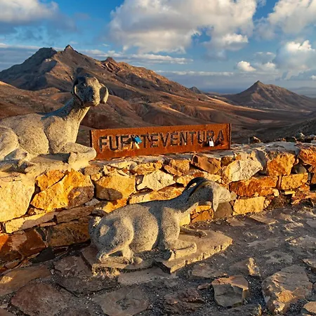 Ancla Pool On Roof Top Apartamento Corralejo