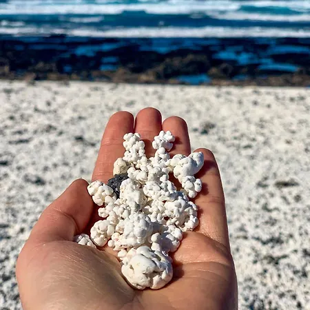 Apartamento Ancla Pool On Roof Top